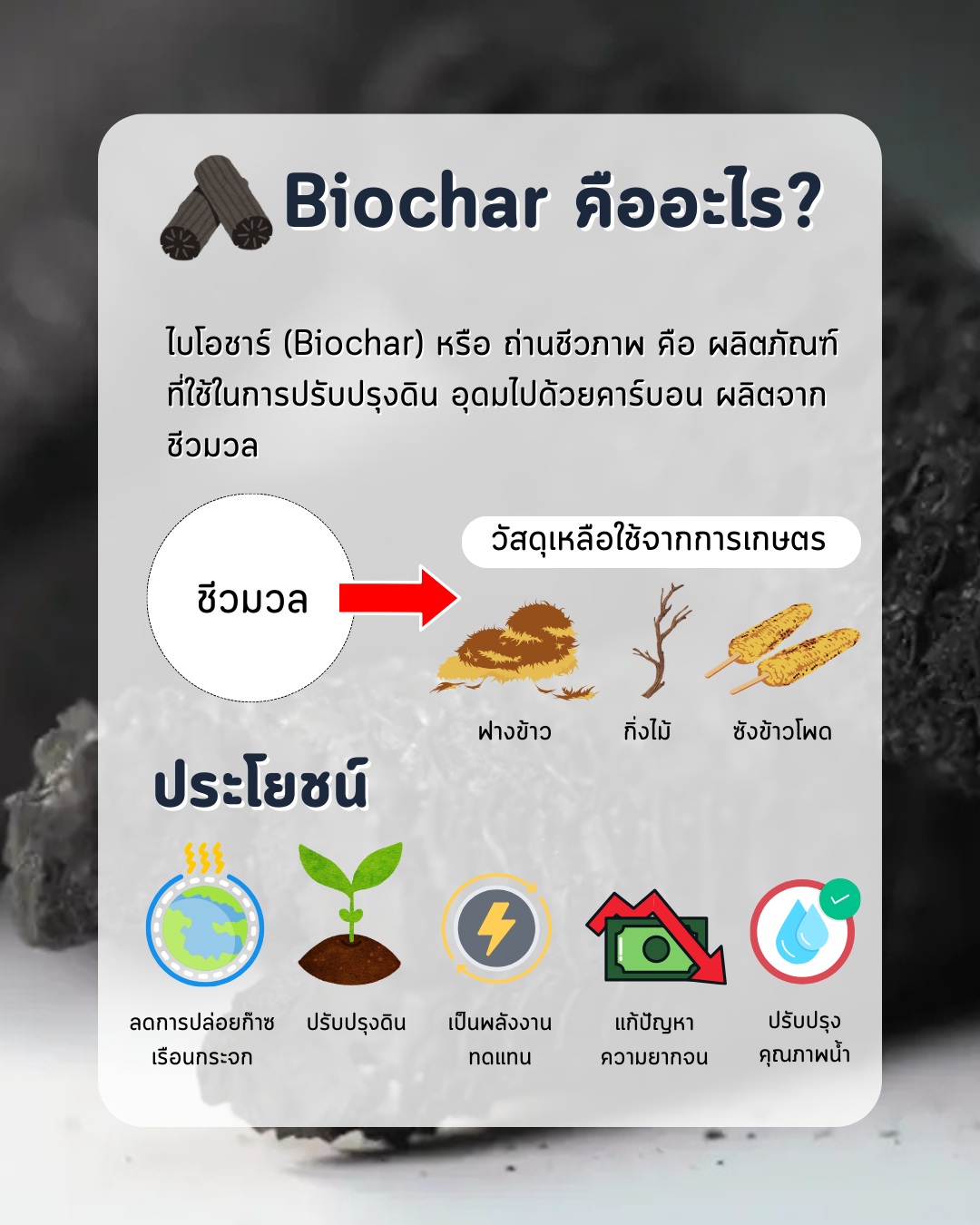 Biochar คืออะไร?
