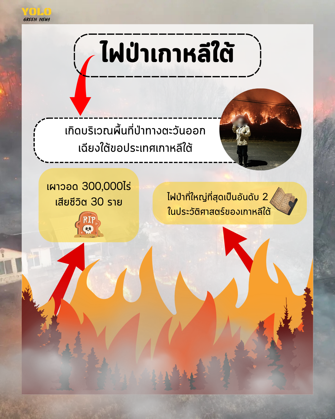 ไฟป่าเกาหลีใต้