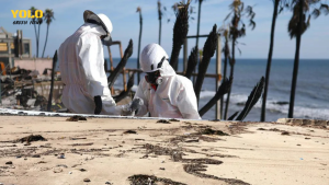 ไฟไหม้ลอสแองเจลิส