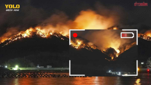 ไฟป่าญี่ปุ่น