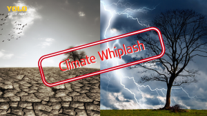 climate change ล้าสมัยไปแล้วตอนนี้ถึงยุค “Climate Whiplash” ที่สภาพอากาศแปรปรวนกว่าเดิม